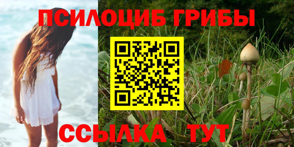 Псилоцибиновые грибы MAGIC MUSHROOMS  Вход с VPN  Псилоцибиновые грибы Psilocybe  Нижний Новгород 