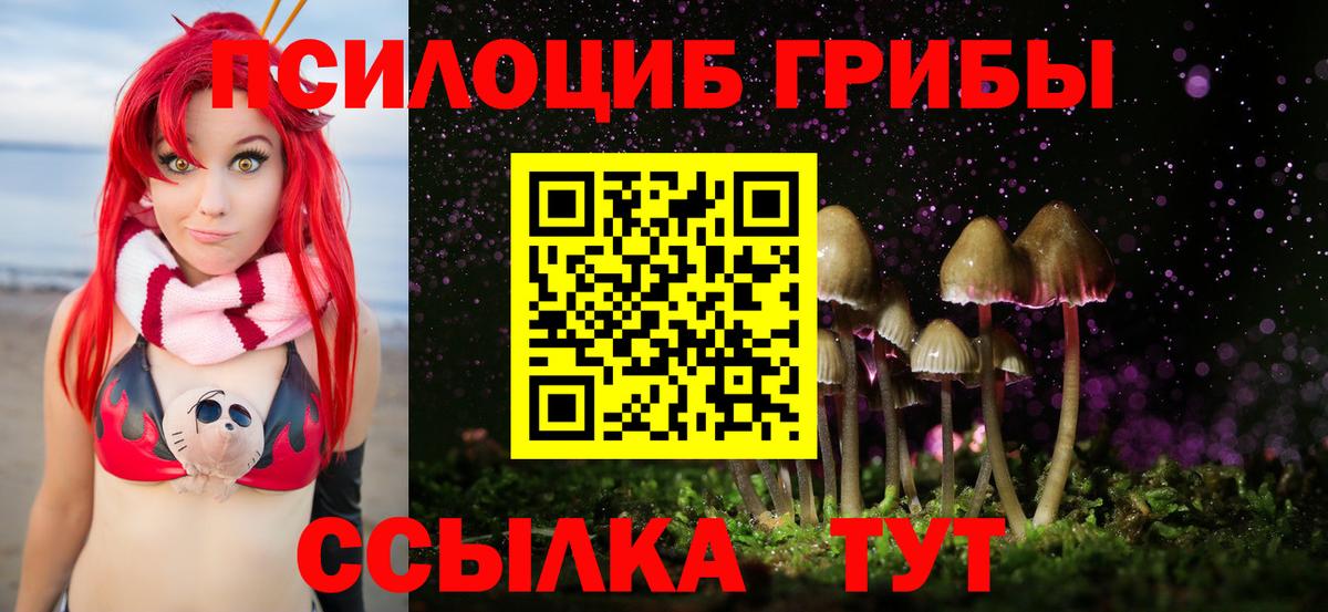 Галлюциногенные грибы Magic Shrooms Нижний Новгород
